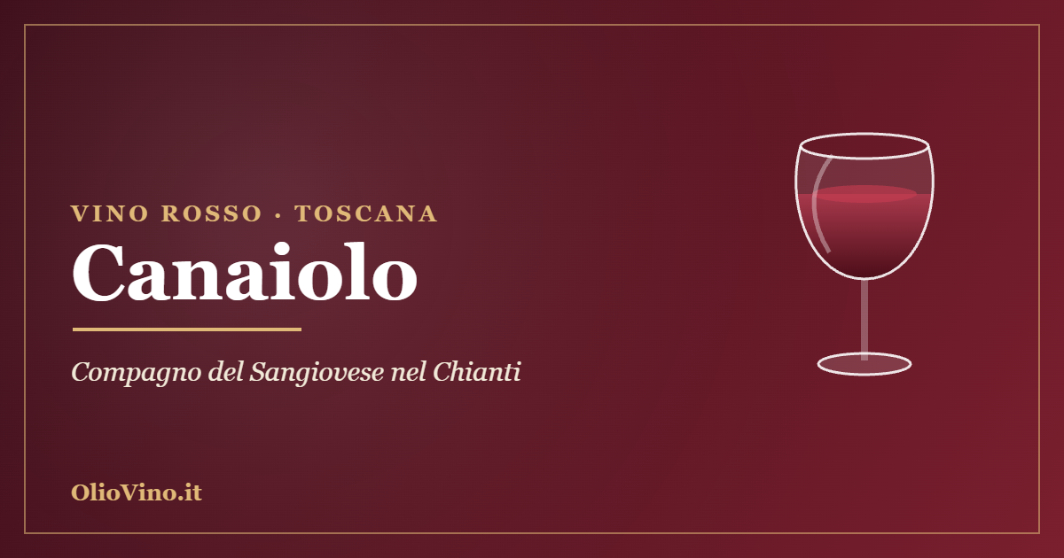 Canaiolo