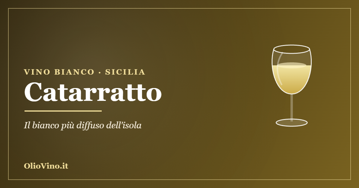 Catarratto