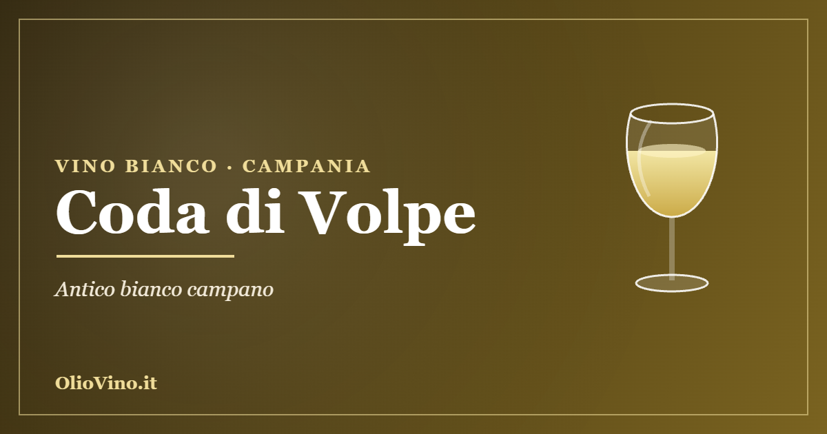Coda di Volpe