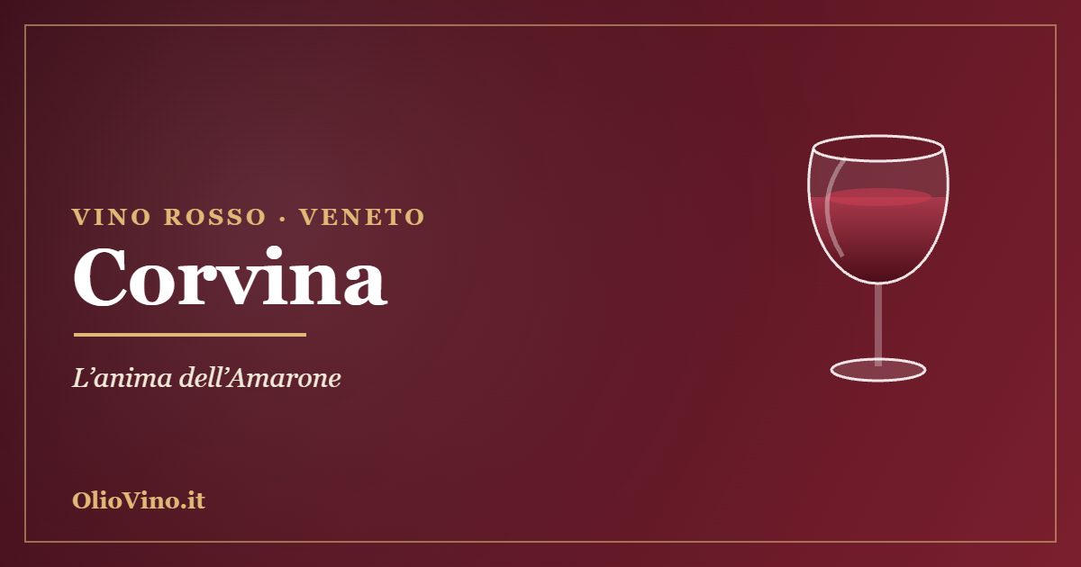 Corvina