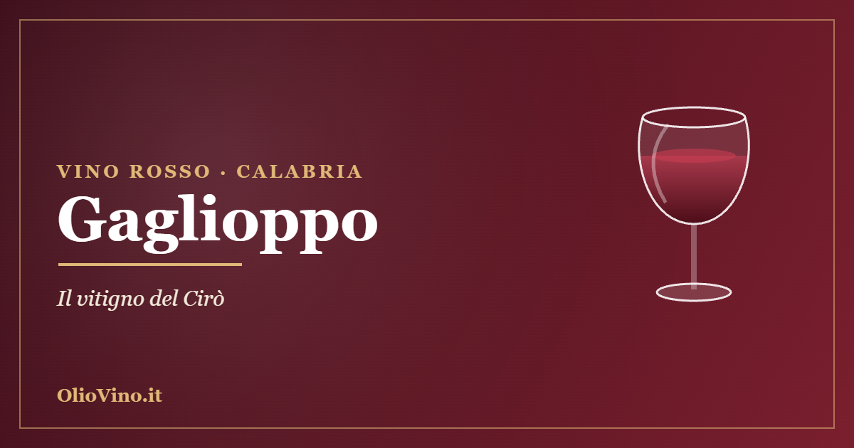 Gaglioppo