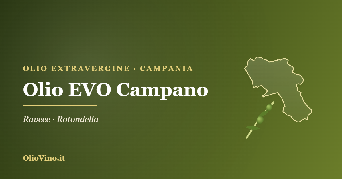 Olio EVO Campano - sagoma regione