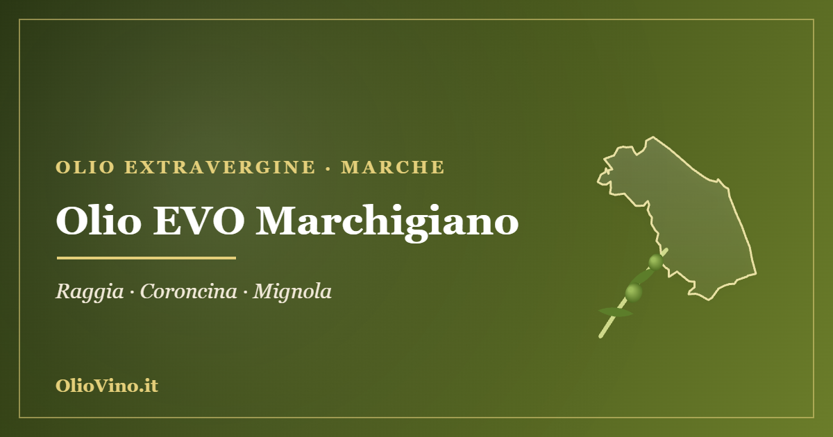 Olio EVO Marchigiano - sagoma regione